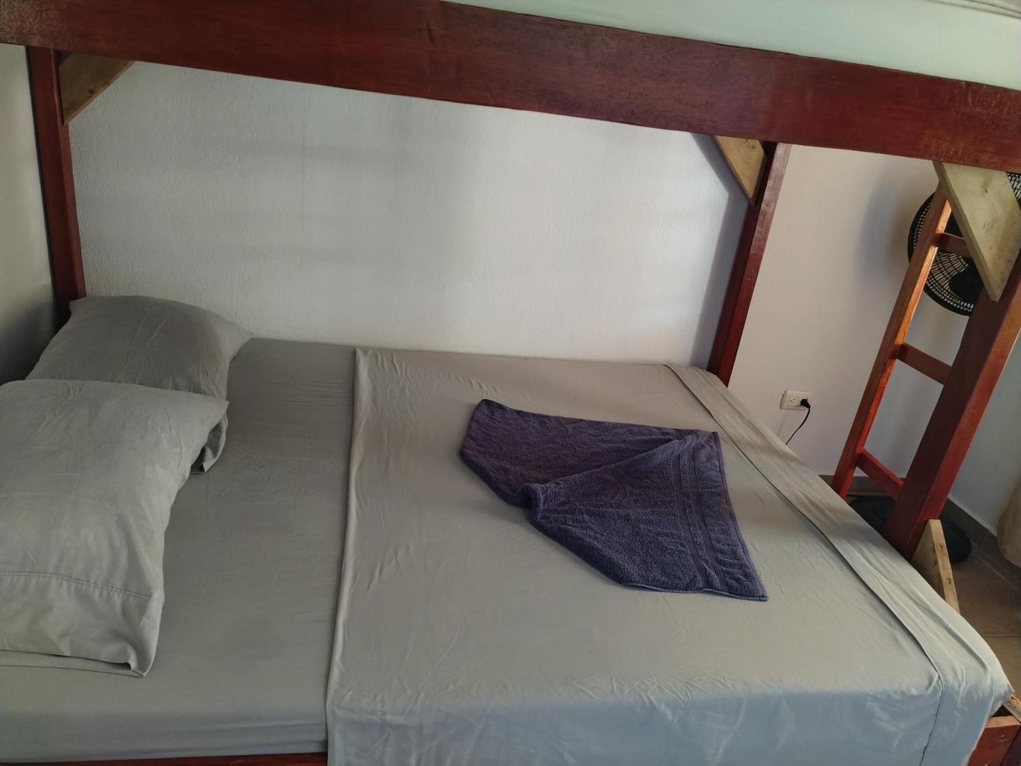 Osa House - Drake Corcovado Tours Bed & Breakfast Drakes Bay Eksteriør bilde