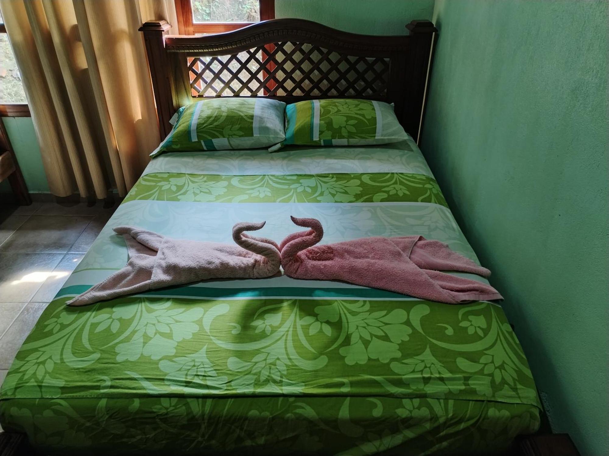 Osa House - Drake Corcovado Tours Bed & Breakfast Drakes Bay Eksteriør bilde